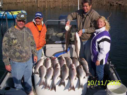 Nice Striped Bass