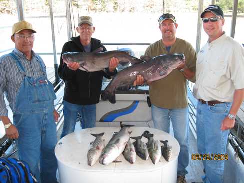 Nice Striped Bass