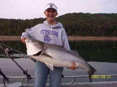 This could be your Striper