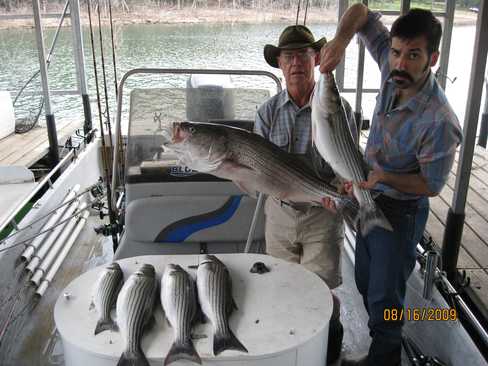 Nice Striped Bass