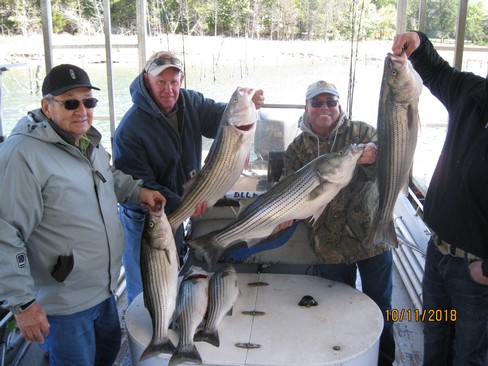 Nice Striped Bass