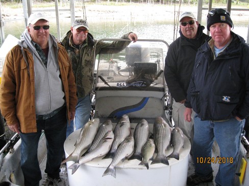 Nice Striped Bass