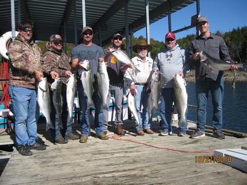 Nice Striped Bass