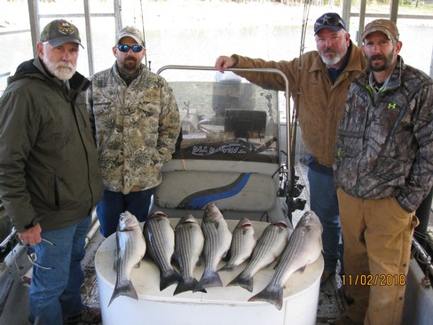 Nice Striped Bass