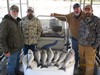 (11/02/2018) - Nice Striped Bass