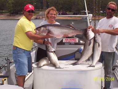 Nice Striped Bass