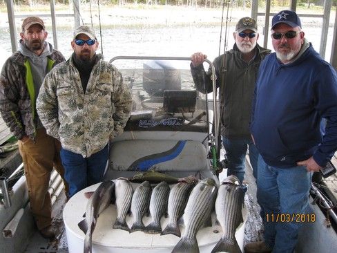 Nice Striped Bass