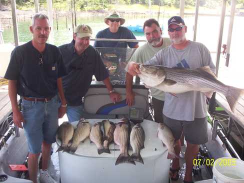 Nice Striped Bass