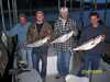 (03/07/2009) - Nice Striped Bass