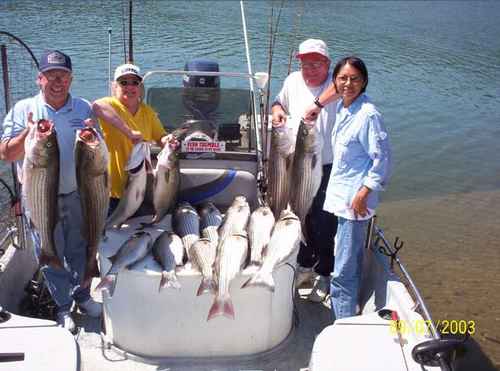 Nice limit of Stripers!