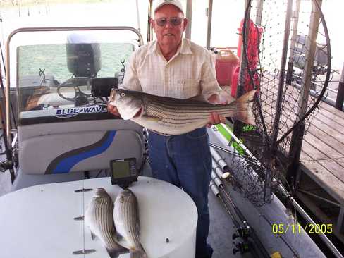 Nice Striped Bass