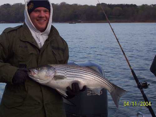 Nice Striped Bass