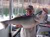 (03/03/2004) - Nice Striped Bass