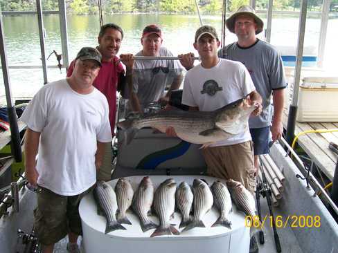 Nice Striped Bass