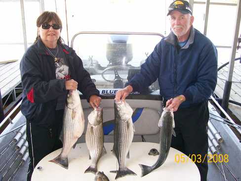 Nice Striped Bass