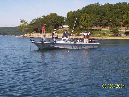 Nice Striped Bass