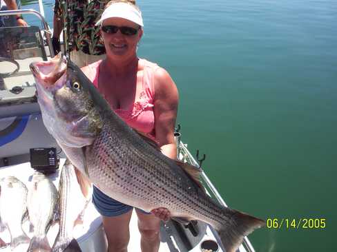 Nice Striped Bass