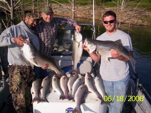 Nice Striped Bass