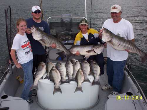 Nice Striped Bass