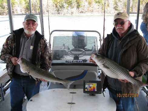 Nice Striped Bass