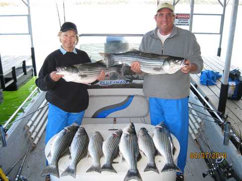 Nice Striped Bass