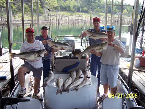 Nice Striped Bass