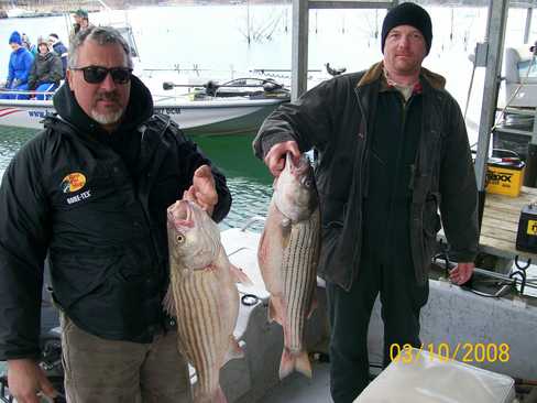 Nice Striped Bass