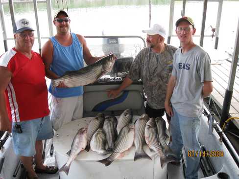 Nice Striped Bass
