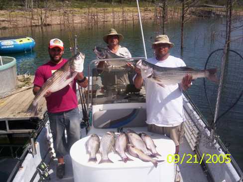 Nice Striped Bass