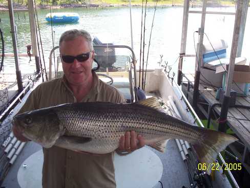 Nice Striped Bass