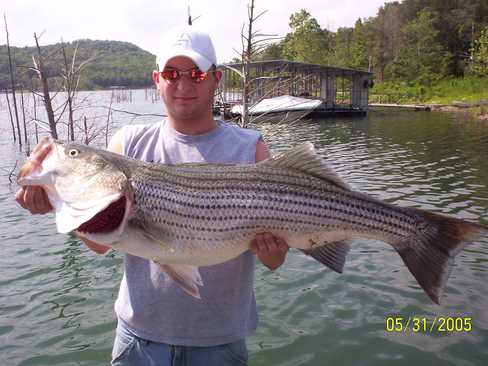 Nice Striped Bass