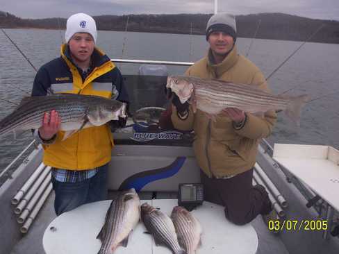 Nice Striped Bass