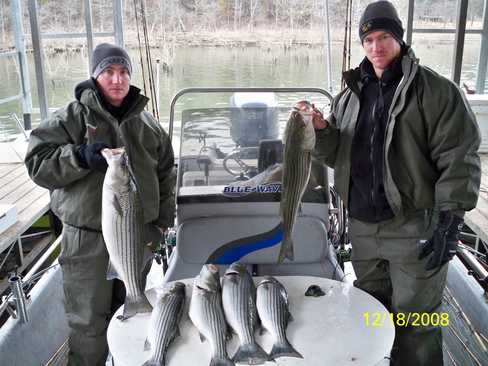 Nice Striped Bass