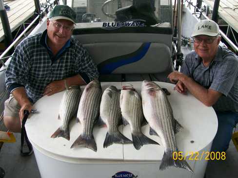 Nice Striped Bass