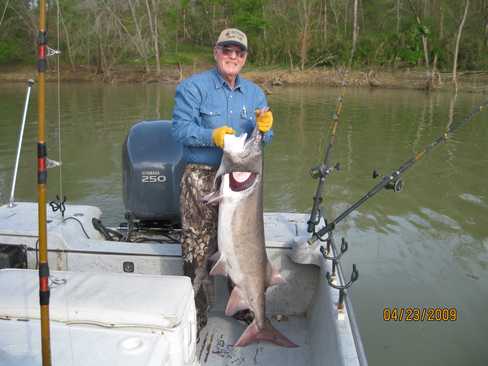 Nice Striped Bass