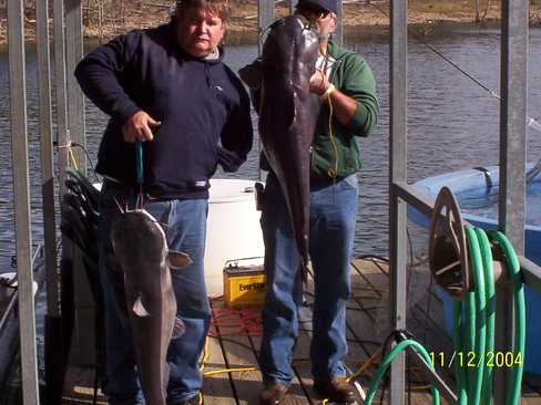 Nice Striped Bass