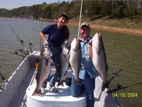 Nice Striped Bass