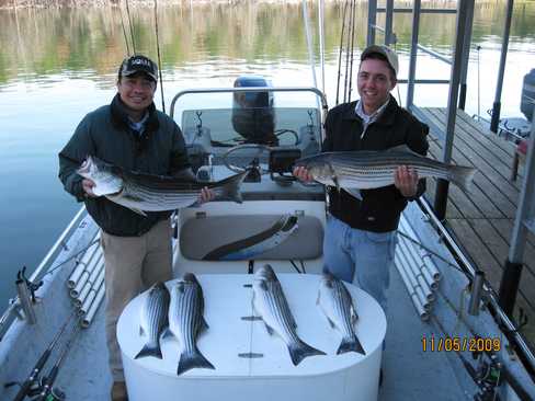 Nice Striped Bass