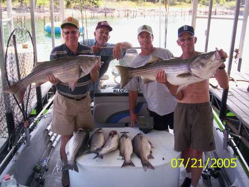 Nice Striped Bass