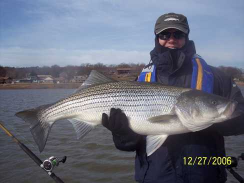 Nice Striped Bass