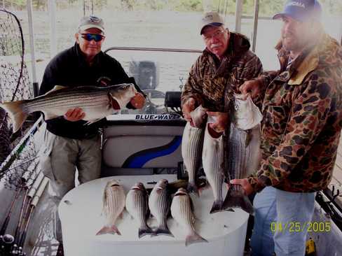 Nice Striped Bass