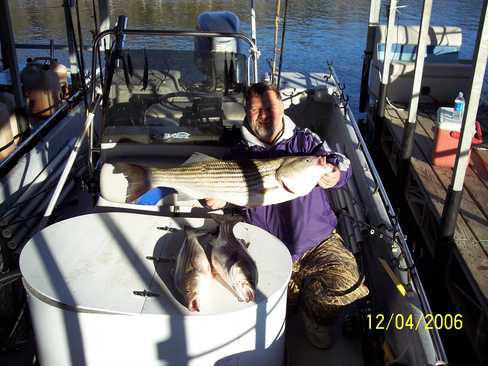 Nice Striped Bass