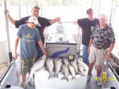 Nice Striped Bass