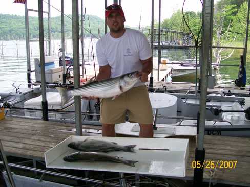 Nice Striped Bass