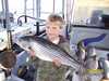 (11/24/2006) - Nice Striped Bass