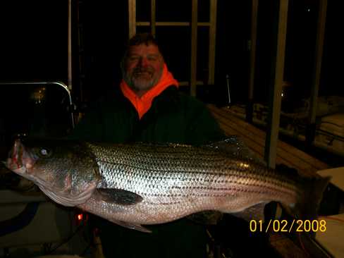 Nice Striped Bass