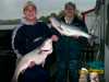 (04/22/2000) - Nice Striped Bass