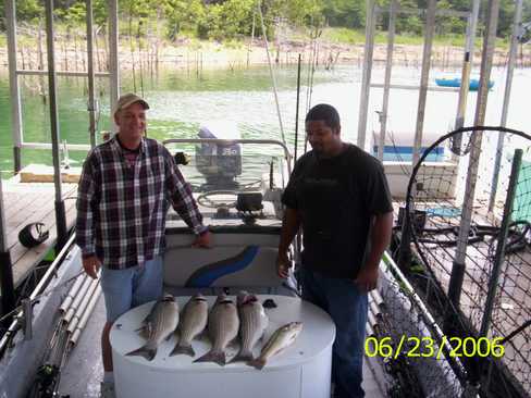 Nice Striped Bass