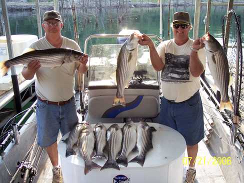 Nice Striped Bass