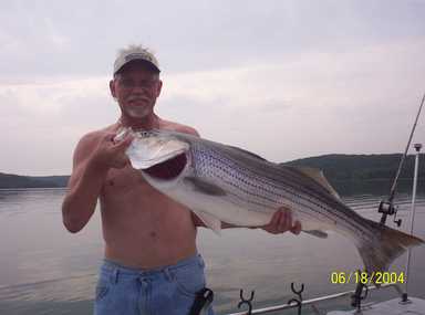 Nice Striped Bass